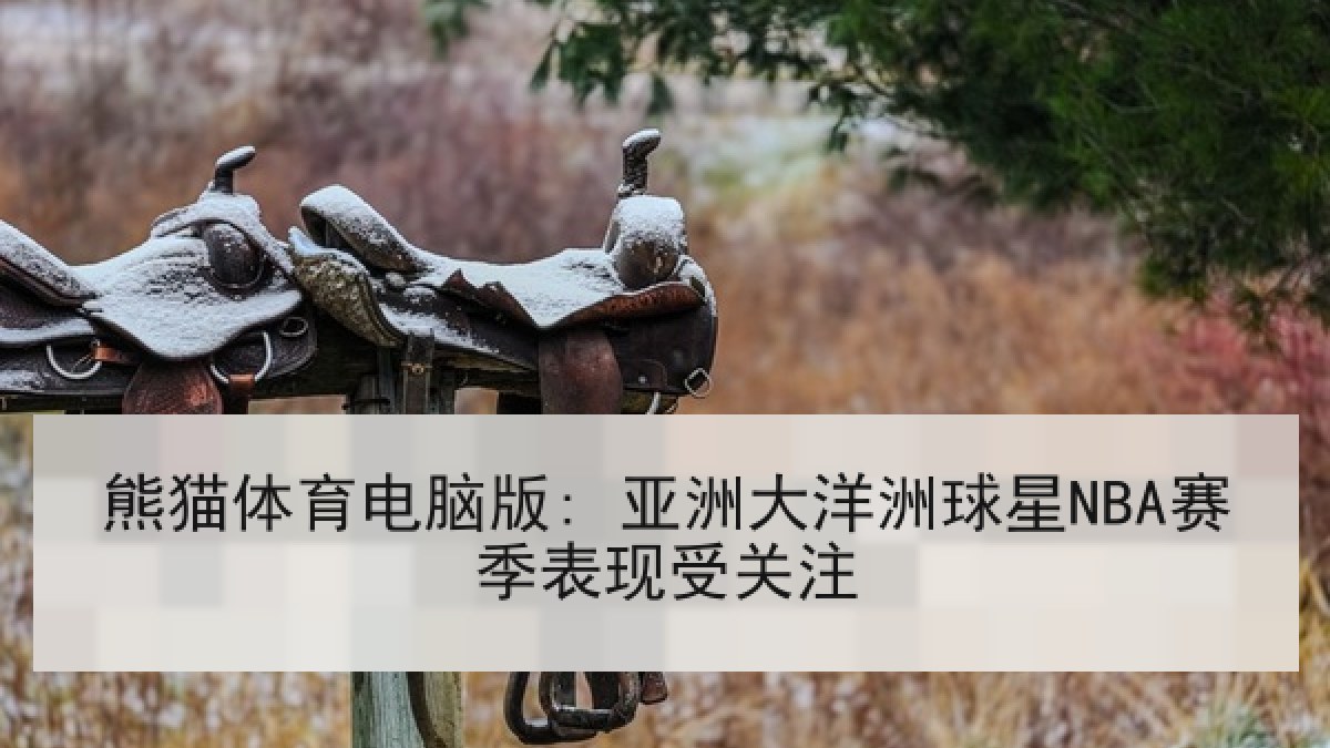 熊猫体育电脑版: 亚洲大洋洲球星NBA赛季表现受关注 熊猫体育电脑版: 亚洲大洋洲球星NBA赛季表现受关注